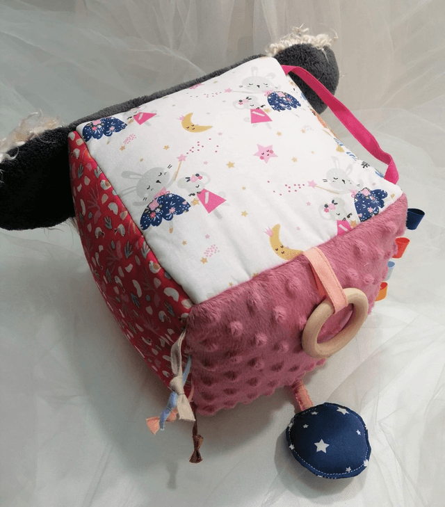 Cube Koala