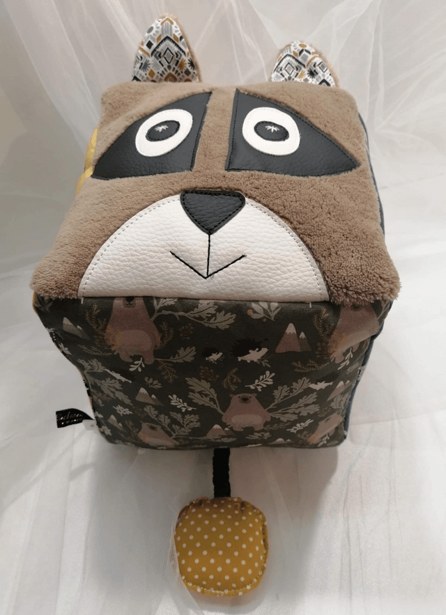 Cube Raton Laveur