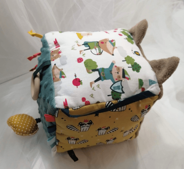 Cube Raton Laveur